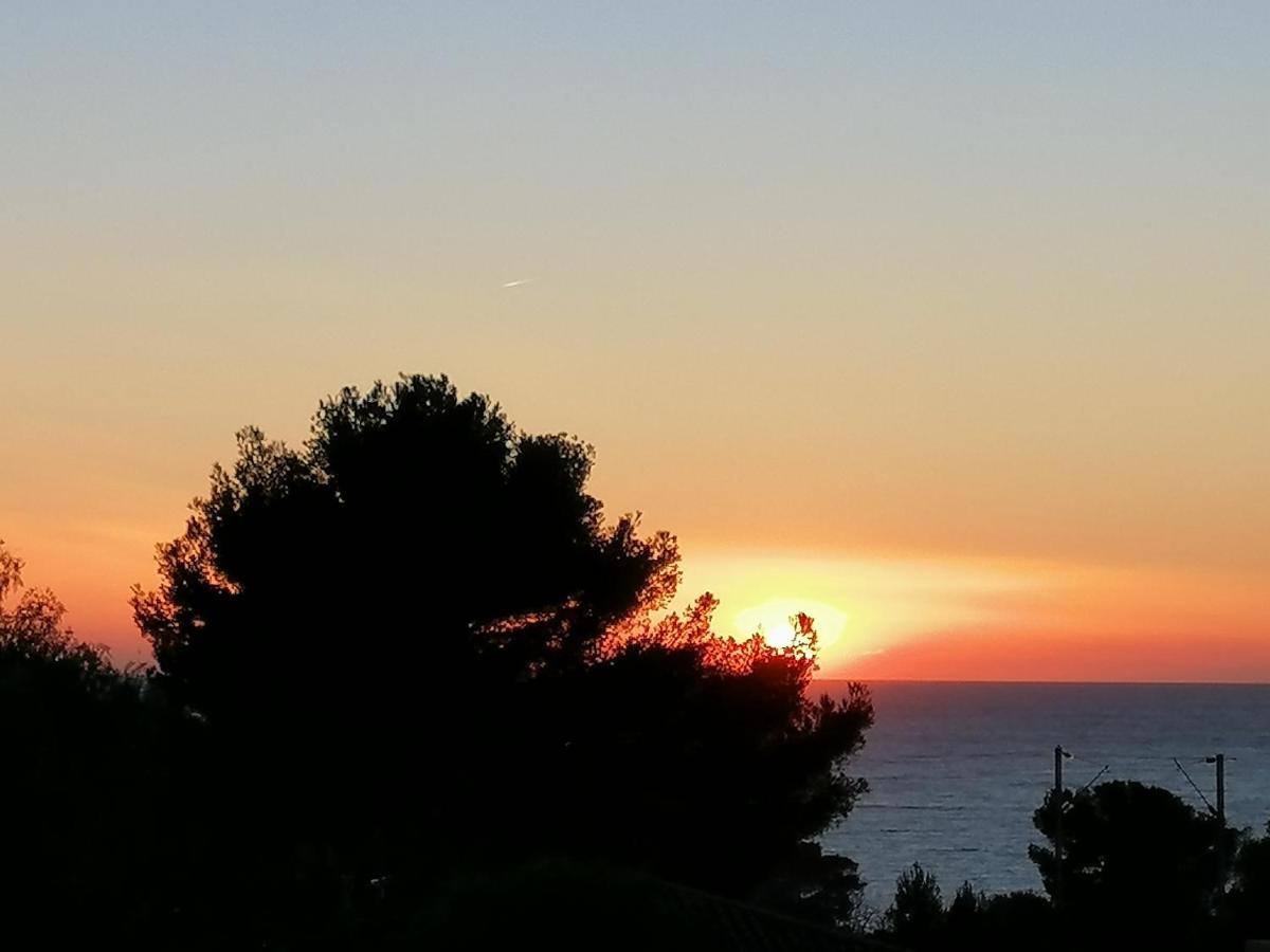 Sanary Les Gorguettes, Studio Avec Terrasse Vue Mer, A 10 Min A Pieds De La Plage エクステリア 写真