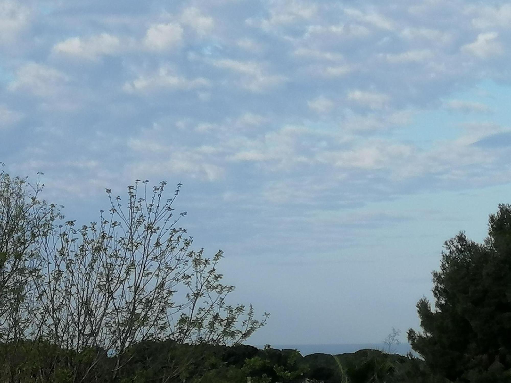Sanary Les Gorguettes, Studio Avec Terrasse Vue Mer, A 10 Min A Pieds De La Plage エクステリア 写真